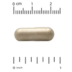 Super Nutrition, органический гриб кордицепс с имбирём, 60 вегетарианских капсул