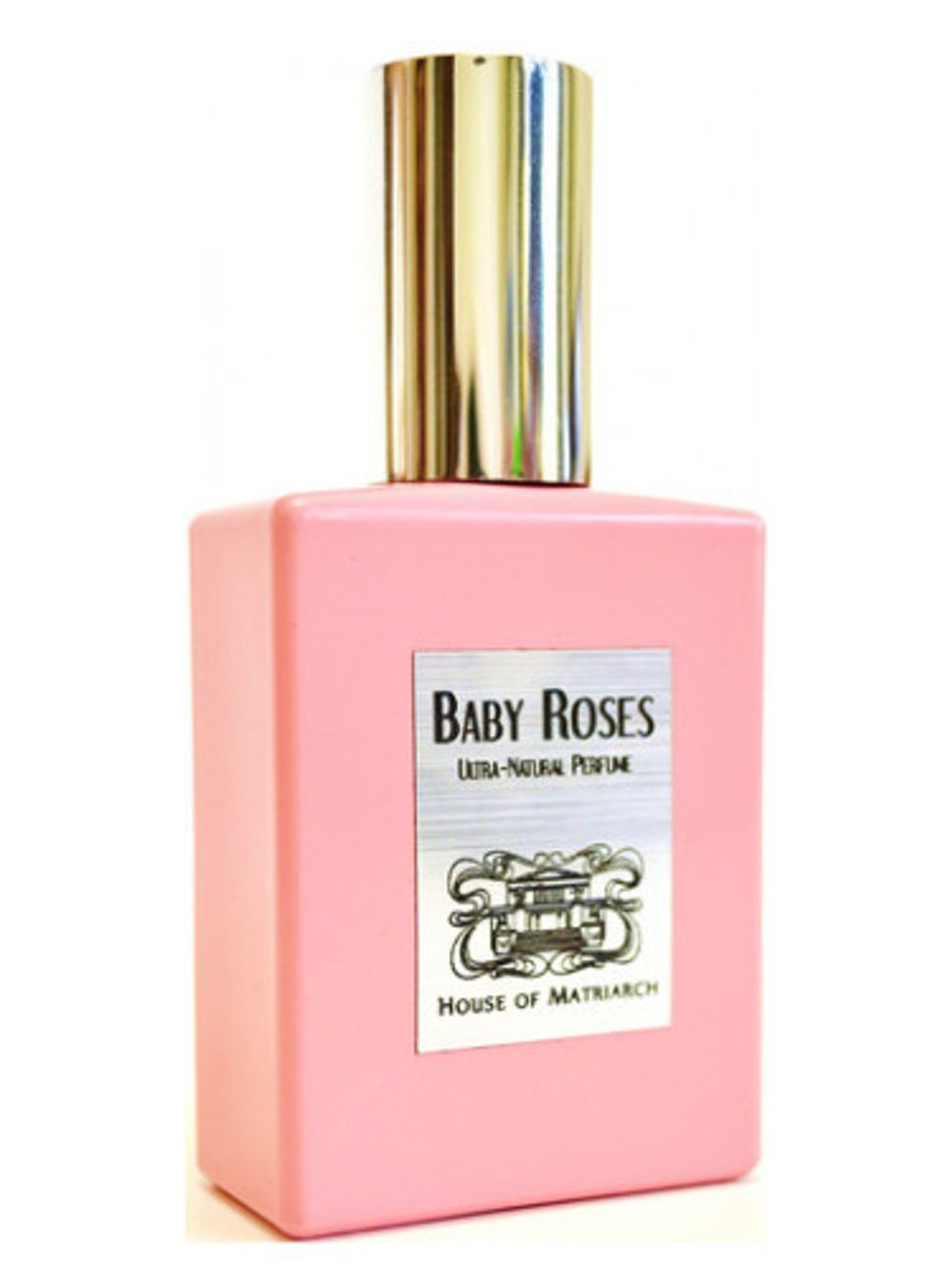 House of Matriarch Baby Roses