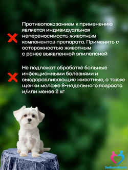 Рабектра 500 мг жевательная таблетка против блох и клещей для собак весом 10-20 кг, 1 таблетка
