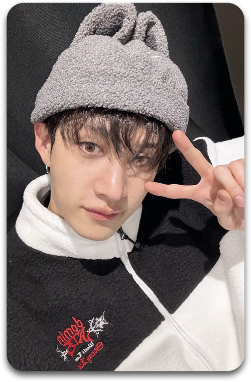 Карта / STRAY KIDS #2019