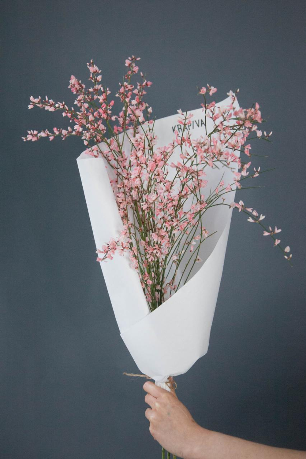 Монобукет Гениста Pink