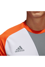 Вратарская кофта adidas Assita 17 GK Детская