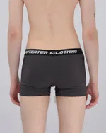 Трусы Набор Anteater Boxers Серые / Хаки