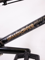 Велосипед BMX Tech Team Grasshopper 20"х20,8"  2024 черный