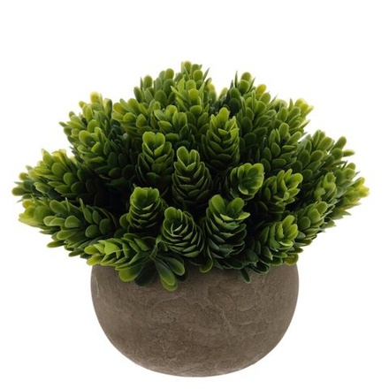 GAEM Цветочная композиция, L14 W14 H13,5 см