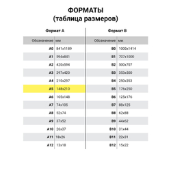 Тетрадь на кольцах А5 (180х220 мм), 80 листов, обложка ПВХ, клетка, BRAUBERG, черный, 403909