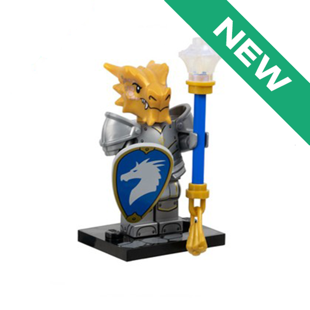 NEW Драконорожденный Паладин 71047 coldnd-4