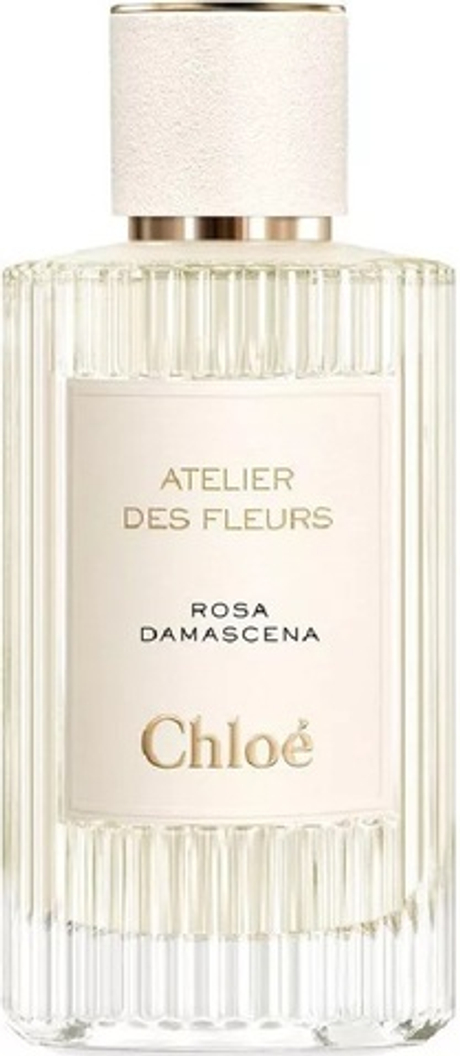 Chloe Atelier Des Fleurs Rosa Damascena