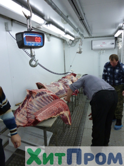 Комплекс убоя и переработки КРС до 20 голов/смена и МРС до 200 голов/смена. р. Татарстан