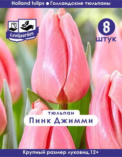 Тюльпан Луковица, Пинк Джимми, 8 шт, разбор 12+