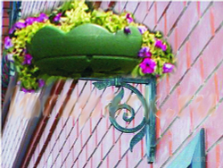 Цветочница Лоза