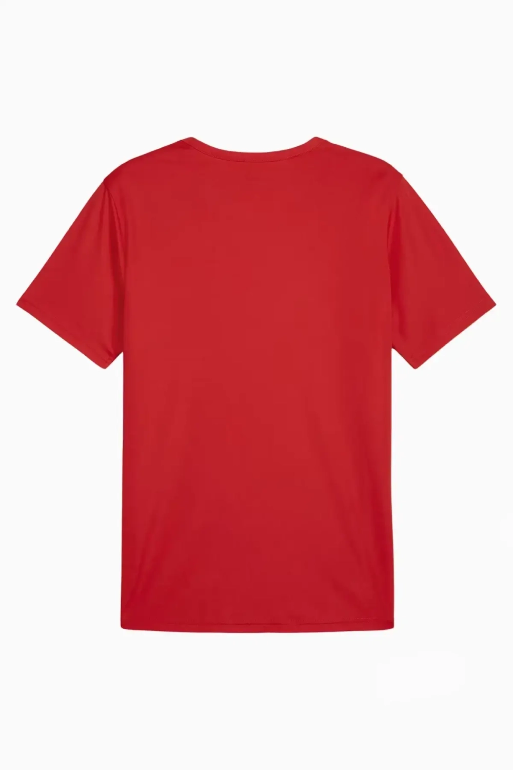 Футболка Puma teamRISE Matchday Junior