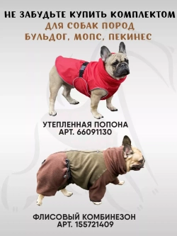 Комбинезон дождевик для собак французский бульдог