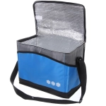 Термосумка 15 л, 30*20*24 см, IC793-2, синий