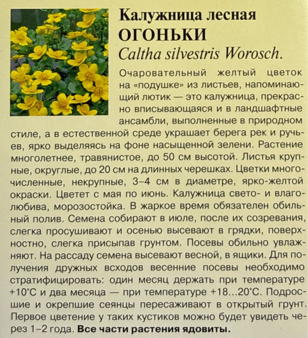 Калужница Огоньки лесная 0,05г СМЦ-255