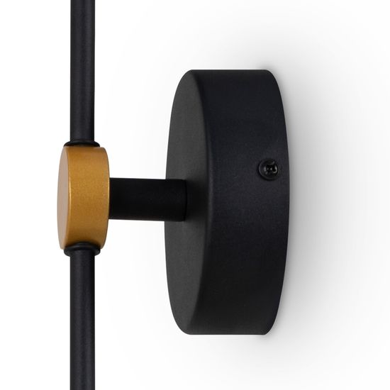 Настенный светильник (бра) Freya FR6110WL-L12GB