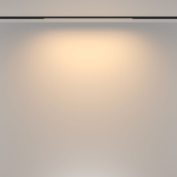 Трековый магнитный светильник Maytoni Basis TR173-1-16WTW-B