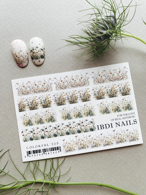 IBDI Слайдер дизайн COLORFUL №225