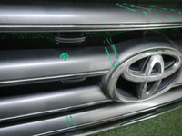 Решетка радиатора Toyota Land Cruiser 200 (2007-2012)