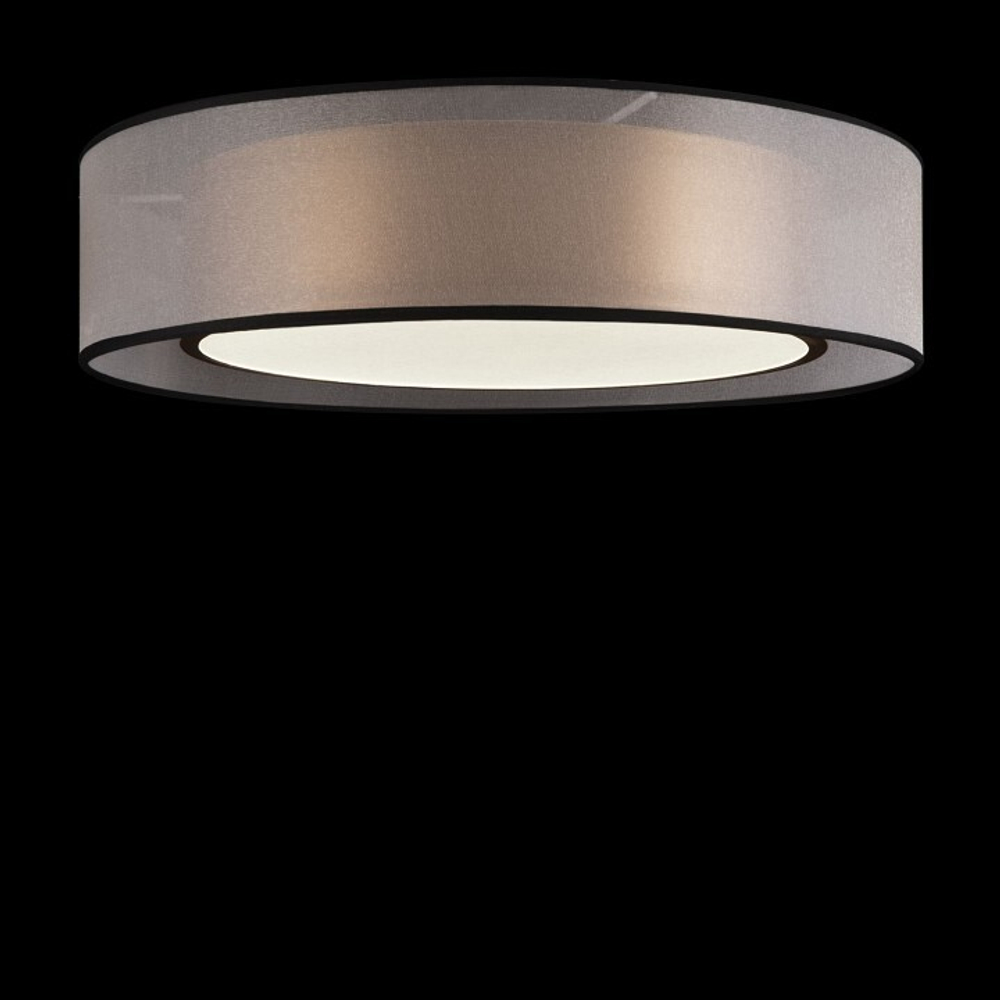 Накладной светильник Freya FR6005CL-L36G