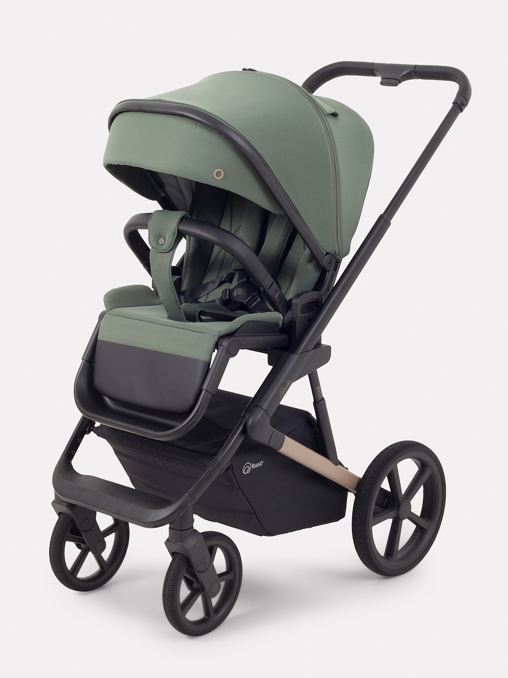 Коляска 2 в 1 Rant Garda