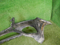 Бампер передний Mercedes S w222 (2017-2020) AMG