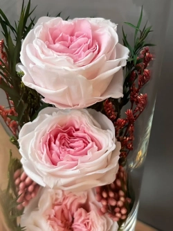 натуральные кустовые пионы в стекле, вакуум*