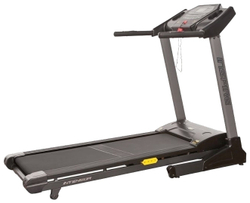Intensor T300