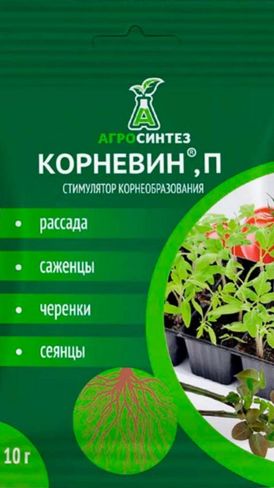 Корневин П 5гр, Россия.