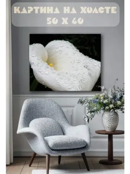 Картина на стену 40 X 50 Калла цветок