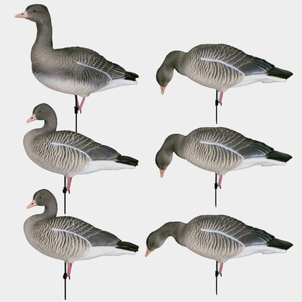 Серый гусь Duck Mania "ALFA"