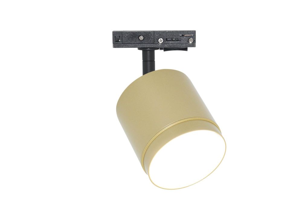 Трековый однофазный светильник Maytoni Unity Polar TR088-1-GX53-MG