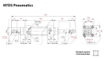 DSBC-125-100-T-PPV-A-N3 Пневмоцилиндр с двусторонним штоком