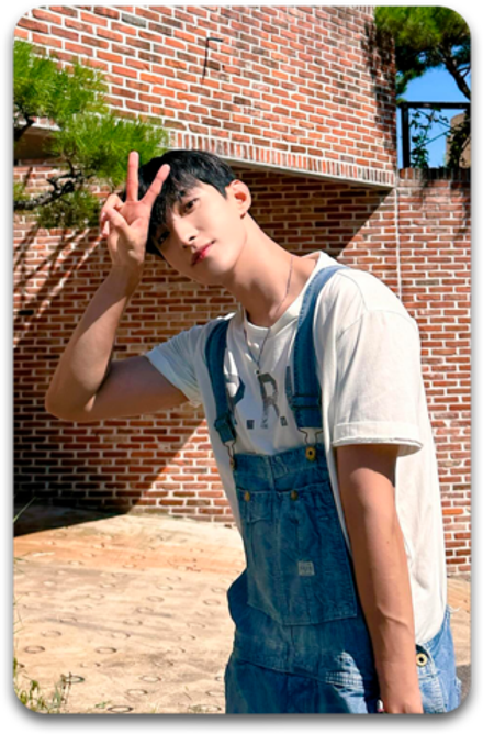Карта #3878 / DK (SEVENTEEN)