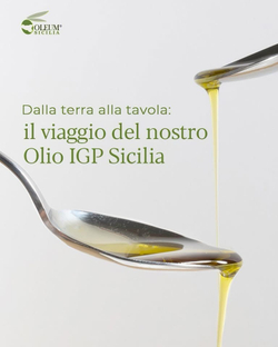 Оливковое масло Olеum Sicilia Halisah 1л, Сицилия, Италия