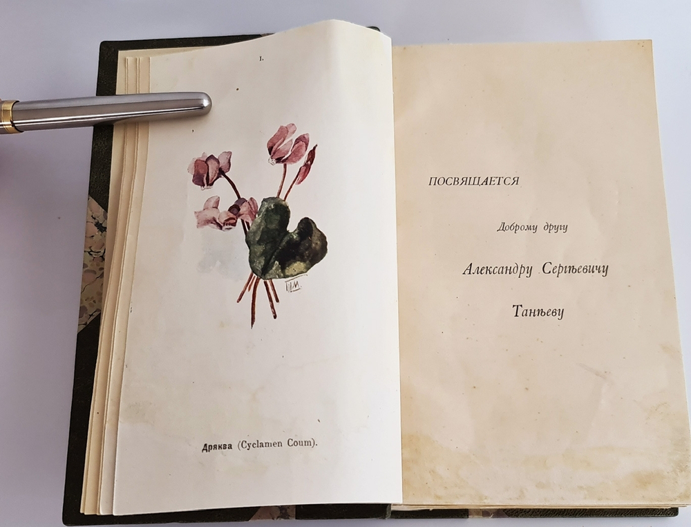 "Наши весенние цветы. Серия 1-3. Наши летние цветы. Серия 1-2". Д.Н.Кайгородов. 1915г.
