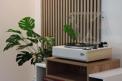 Проигрыватель винила Eltax Spinster White Light Wood