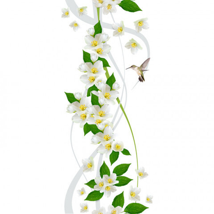 Панель ПВХ СТАНДАРТ 25_Колибри №19Т015-1Г