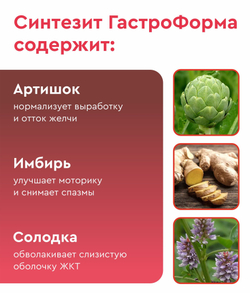 Синтезит ГастроФорма