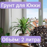 Грунт для Юкки, 1 литр