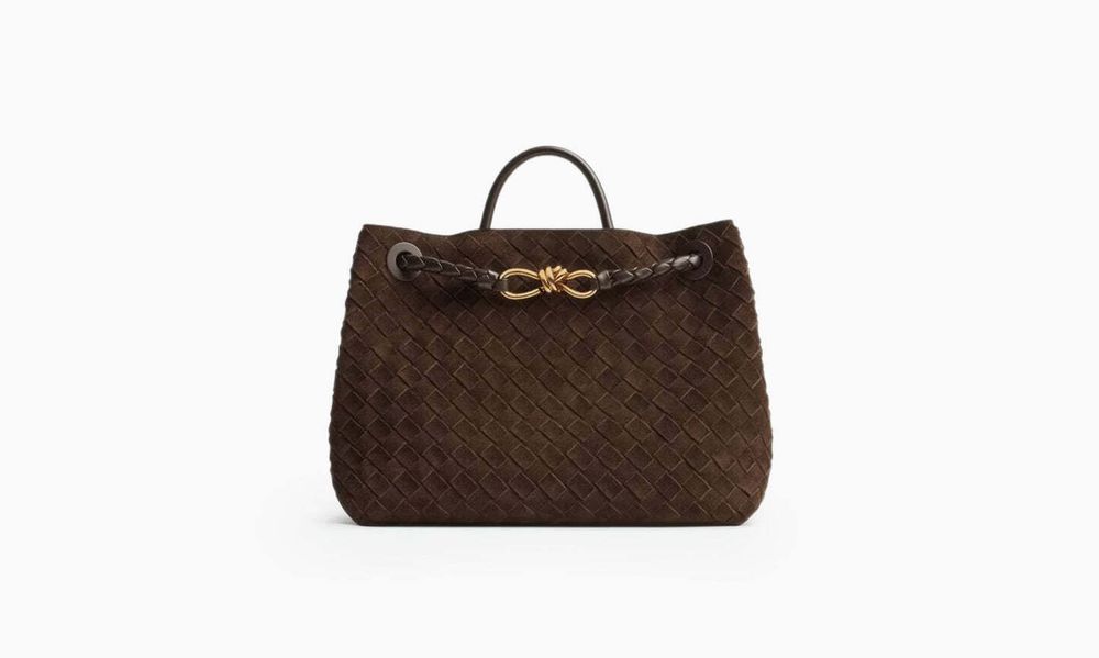 Сумка Bottega Veneta Medium Andiamo &quot;Fondant&quot;