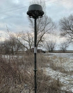 Подавитель дронов РЭБ Капюшон К8 160w 8 каналов