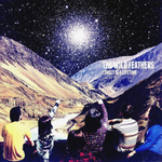 The Wild Feathers / Lonely Is A Lifetime (LP)