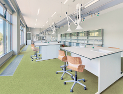 Линолеум коммерческий Profi Rock Nevada 6, 3х26м (рулон)