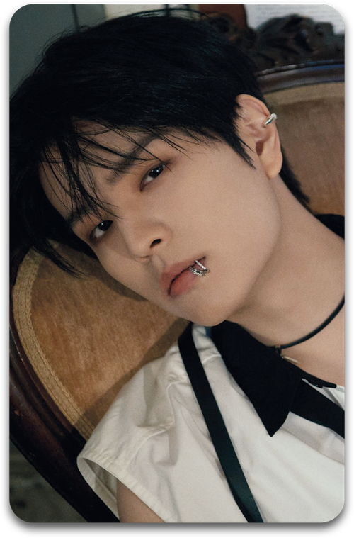 Карта / STRAY KIDS #1490