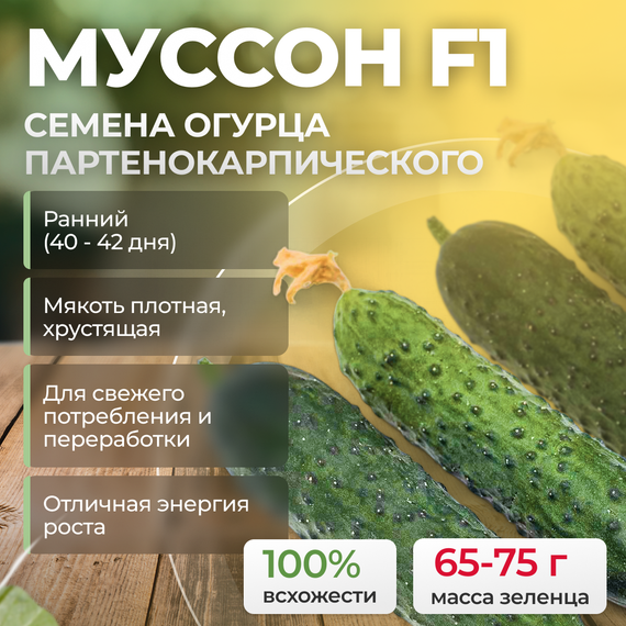 МУССОН F1 семена огурца партенокарпического (Sakata)