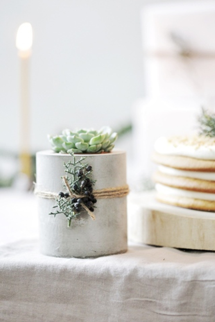 Маленький суккулент в новогоднем бетонном кашпо