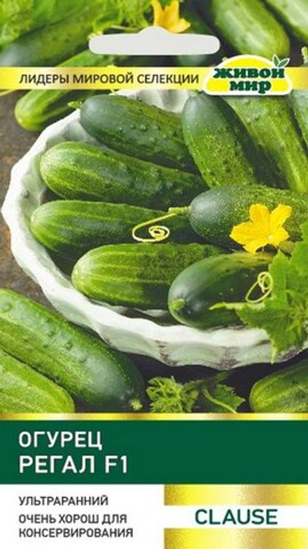 Огурец "ЖМ. Рeгaл F1" 1г., Франция.