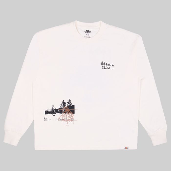 Лонгслив мужской Dickies Kenbridge Tee артикул:DK0A4YVRC581 - купить в магазине Дайс
