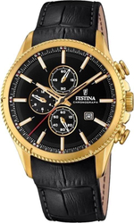 Мужские наручные часы Festina F20419/3